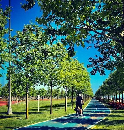 Maltepe Sahilinde Yapılabilecek Aktiviteler - Maltepe sahil aktiviteleri ve eğlence seçenekleri. Maltepe sahilinde yapılacaklar: yürüyüş, bisiklet, plaj aktiviteleri ve su sporları rehberi.